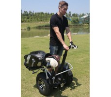 Сигвей Chic Golf Black в использовании