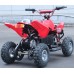 Фото электроквадроцикла Joy Automatic Electro Rider (500W) Red