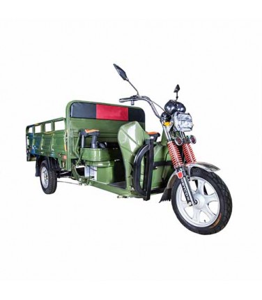 Электротрицикл Rutrike Алтай 2000 60V1500W Green | Купить, цена, отзывы