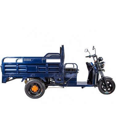 Электротрицикл Rutrike D2 1500 60V1000W Blue | Купить, цена, отзывы