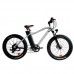 Электровелосипед El-sport bike TDE-03 350W
