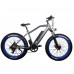 Электровелосипед El-sport bike TDE-08 500W Grey