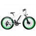 Электровелосипед El-sport bike TDE-08 500W White