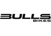 Логотип Bulls