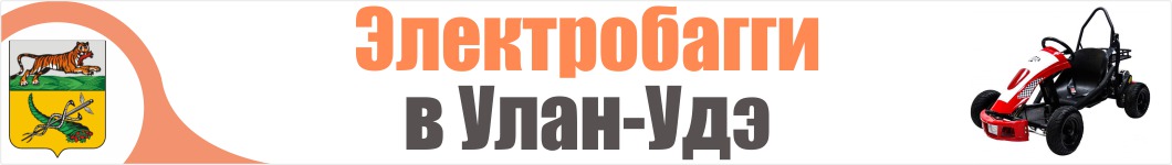 Электробагги в Улан-Удэ