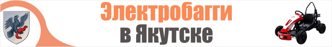 Электробагги  в Якутске