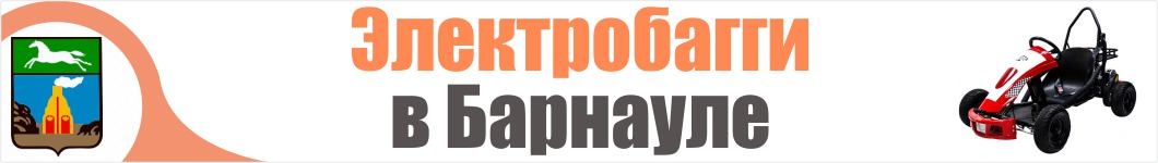 Электробагги в Барнауле