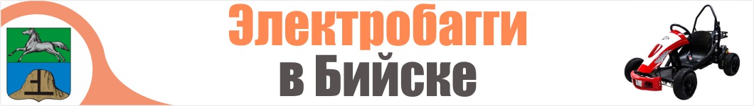 Электробагги в Бийске