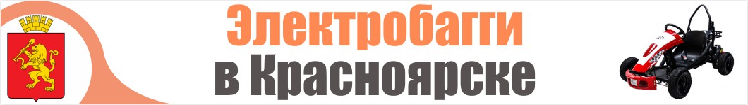 Электробагги в Красноярске