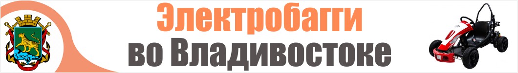 Электробагги в Владивостоке