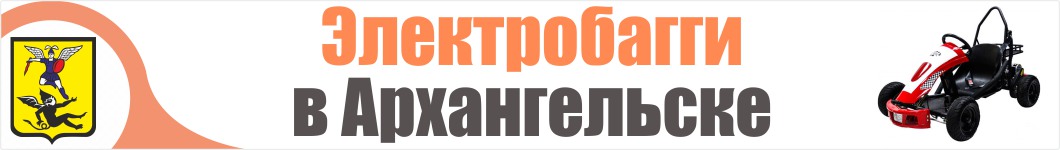 Электробагги  в Архангельске