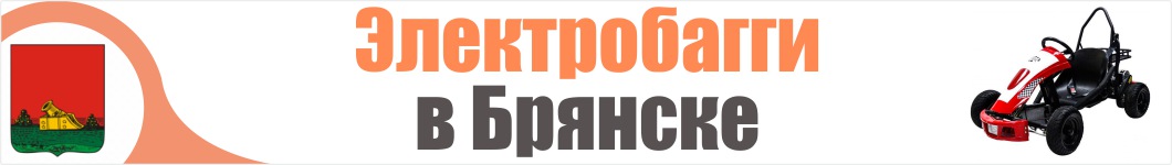 Электробагги в Брянске