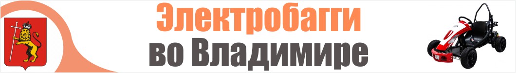 Электробагги  во Владимире