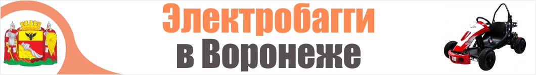 Электробагги в Воронеже