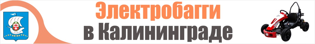 Электробагги в Калининграде