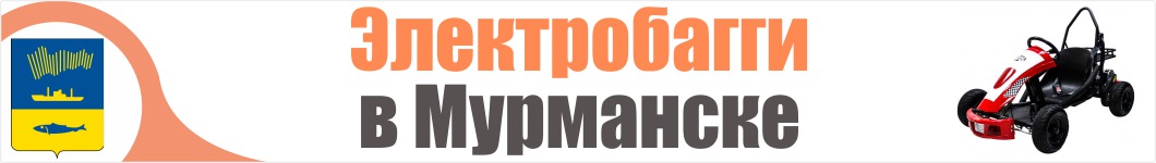 Электробагги  в Мурманске