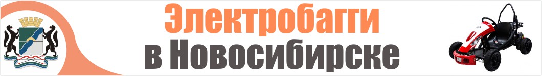 Электробагги в Новосибирске