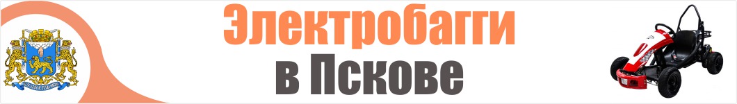 Электробагги в Пскове