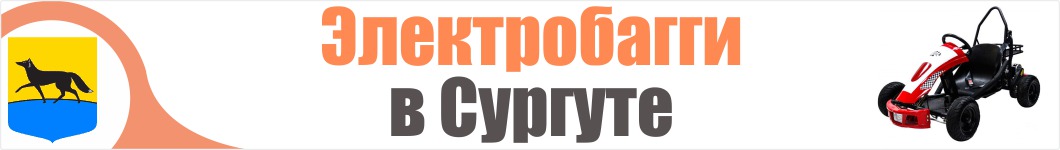 Электробагги  в Сургуте