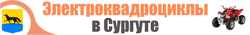 Электроквадроциклы в Сургуте 