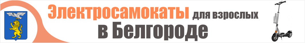 Электросамокаты для взрослых в Белгороде