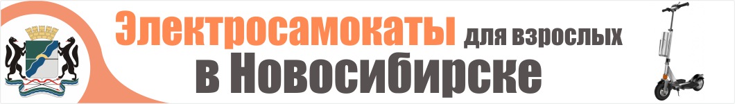 Электросамокаты для взрослых в Новосибирске
