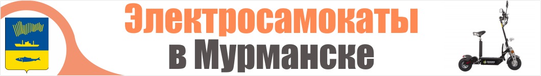 Электросамокаты в Мурманске