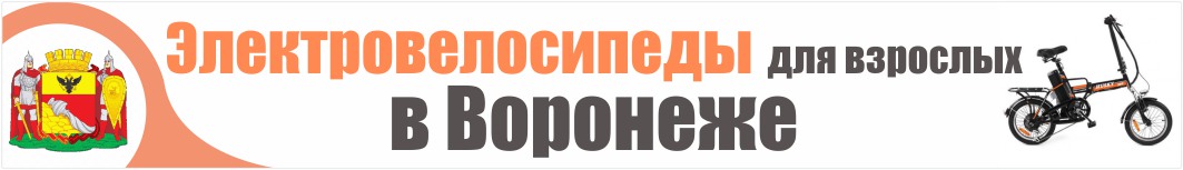 Электровелосипеды для взрослых в Воронеже