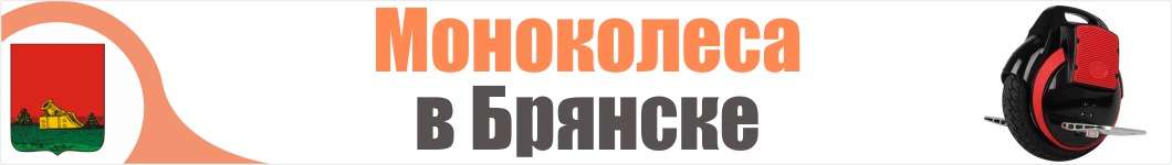 Моноколеса в Брянске