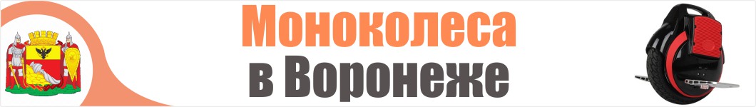 Моноколеса в Воронеже