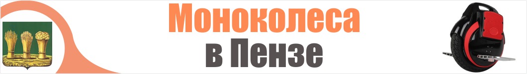 Моноколеса в Пензе