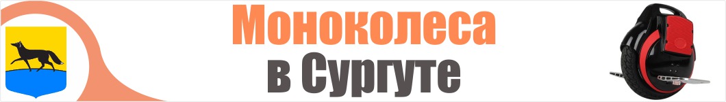 Моноколеса в Сургуте