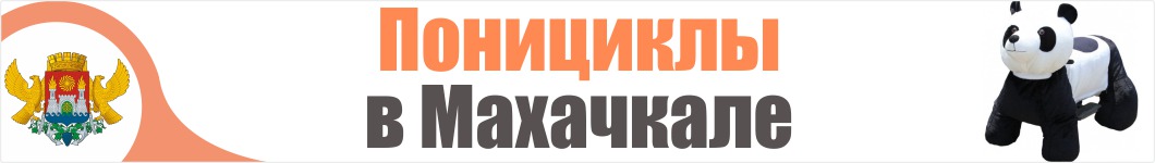 Понициклы в Махачкале