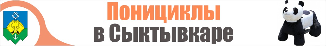 Понициклы в Сыктывкаре