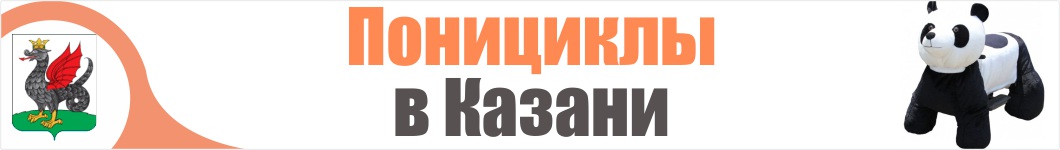 Понициклы в Казани