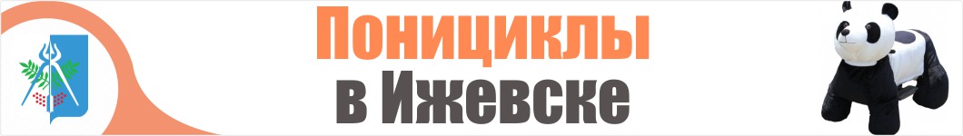 Понициклы в Ижевске