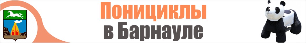 Понициклы в Барнауле