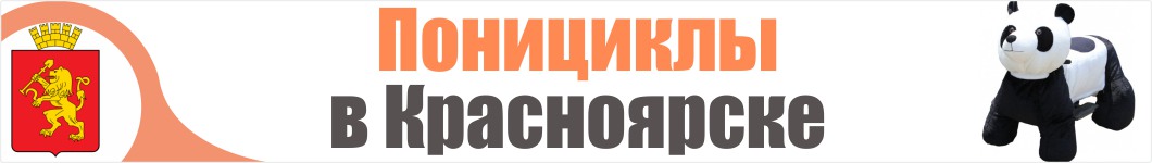 Понициклы в Красноярске