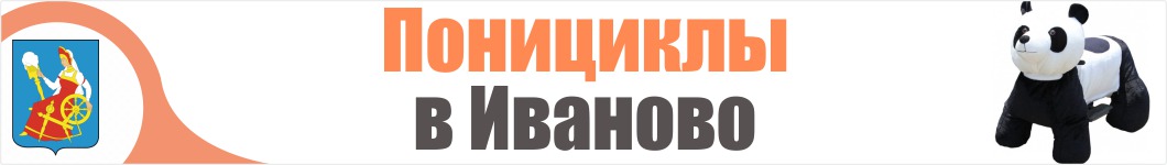 Понициклы в Иваново