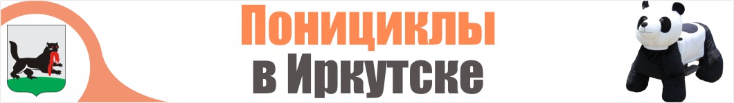 Понициклы в Иркутске