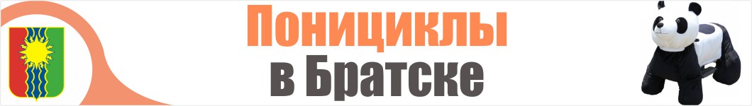 Понициклы в Братске