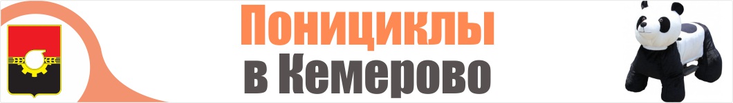 Понициклы в Кемерово