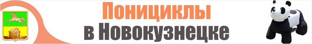 Понициклы в Новокузнецке