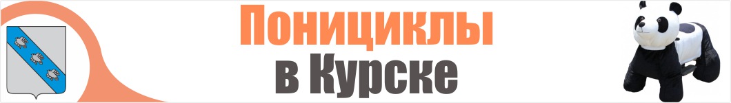 Понициклы в Курске