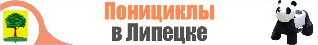 Понициклы в Липецке