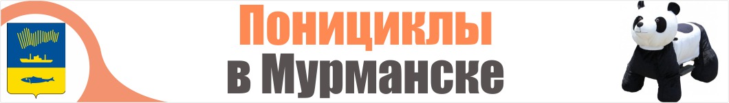 Понициклы  в Мурманске