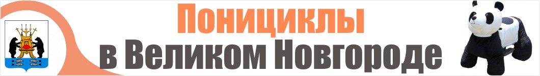 Понициклы в Великом Новгороде