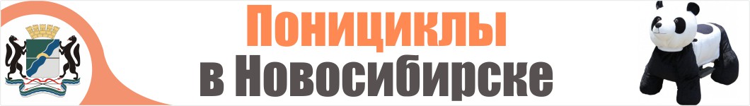 Понициклы в Новосибирске