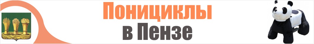 Понициклы в Пензе