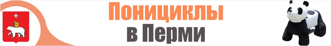 Понициклы в Перми